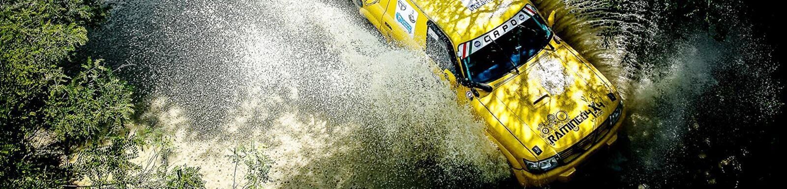 Ramingo 4x4 | I Brand delle auto che trattiamo